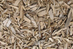 biomass boilers Llanyrafon