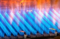 Llanyrafon gas fired boilers